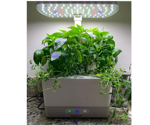 ערכת גידול עשבי תיבול AeroGarden