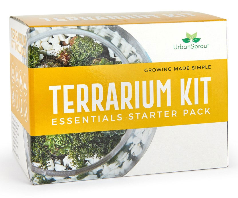 ערכת התחלה של Plant Terrarium Essentials